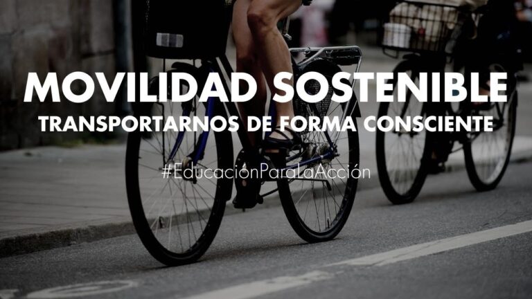 Impacto Ambiental del Transporte P&uacute;blico en la Sostenibilidad