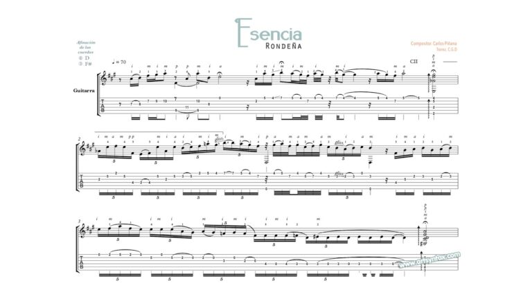 Explorando la Esencia de la Guitarra Flamenca