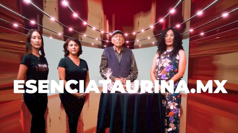 Creatividad en la Danza: Flamenco Fusi&oacute;n Innovador