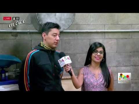 Descubriendo las Caracter&iacute;sticas &Uacute;nicas de las Alegrias