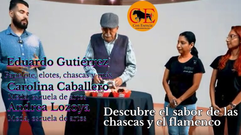 Creatividad Publicitaria: El Sabor del Flamenco