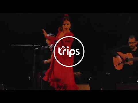 Tradici&oacute;n y Arte en los Tablaos Flamencos: Un Viaje Cultural