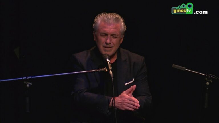 La Magia del Flamenco en la Televisi&oacute;n