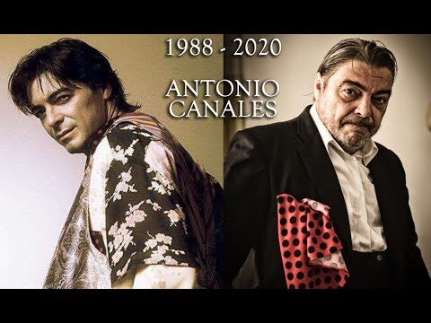 La evolución del flamenco a lo largo de la historia