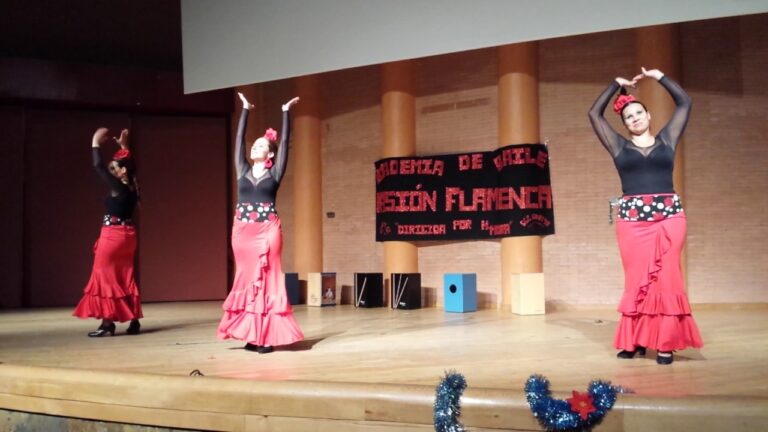 La esencia de la pasi&oacute;n flamenca en la danza