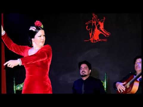 Magia y Energ&iacute;a en el Espect&aacute;culo del Tablao