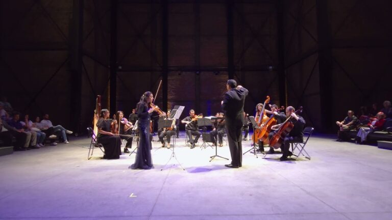 Interpretaciones Apasionadas en Recitales en Vivo: Una Experiencia &Uacute;nica