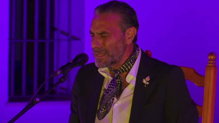 Festival de Cante Flamenco: M&uacute;sica y Baile en Armon&iacute;a