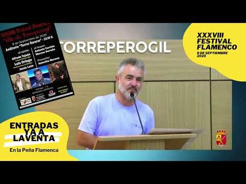 Transporte Sostenible en Eventos de Flamenco