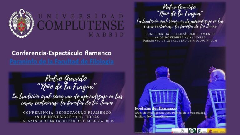 Flamenco: Cultura y Derechos Humanos en Armon&iacute;a