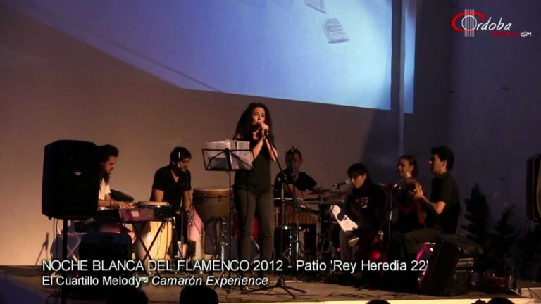 Flamenco Sostenible: Arte y Responsabilidad Ambiental