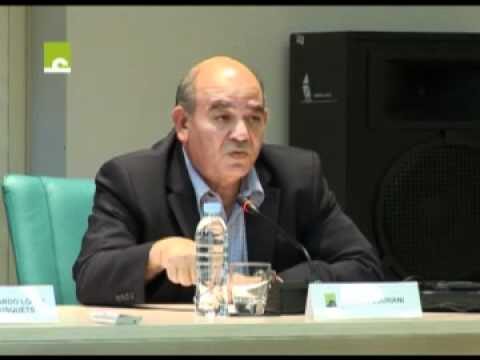 Derechos Pol&iacute;ticos y la Expresi&oacute;n del Arte Flamenco