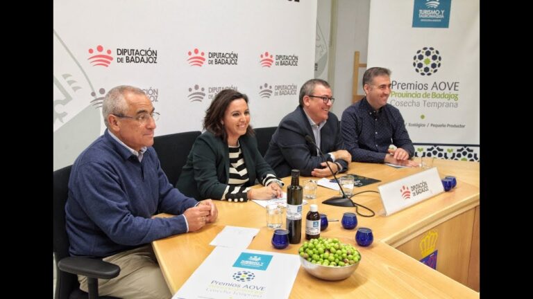 An&aacute;lisis del Perfil del Consumidor de Flamenco en el Mercado