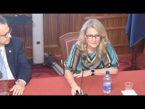 El Flamenco como Reflejo de la Sociedad Actual