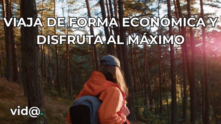 Descubre el Flamenco en Tus Aventuras Tur&iacute;sticas