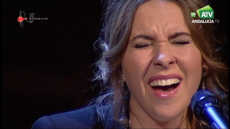 Flamenco en la Televisi&oacute;n: Programas Imperdibles