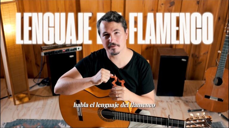 Encanto y Pasi&oacute;n: Show de Guitarra Flamenca en Fiesta