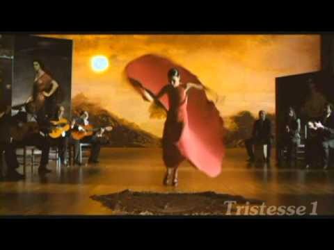 Sensualidad y Pasi&oacute;n: El Alma del Flamenco