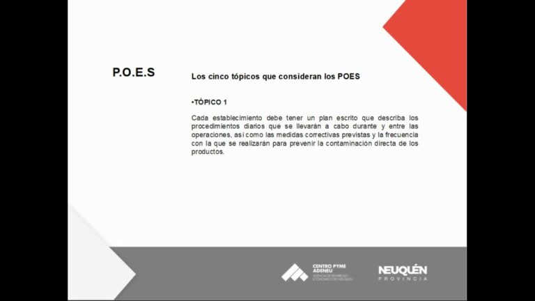 Medidas Eco-Friendly en la Industria del Flamenco