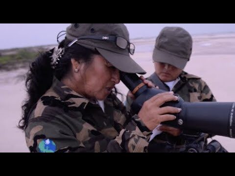 Migrantes: Guardianes del Flamenco