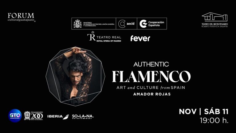 Vibrante Espect&aacute;culo de Flamenco en Compa&ntilde;&iacute;a de Baile