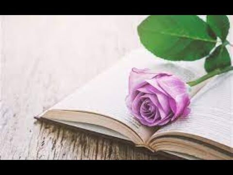 Met&aacute;foras Flamencas en la Escritura: Un Baile de Palabras