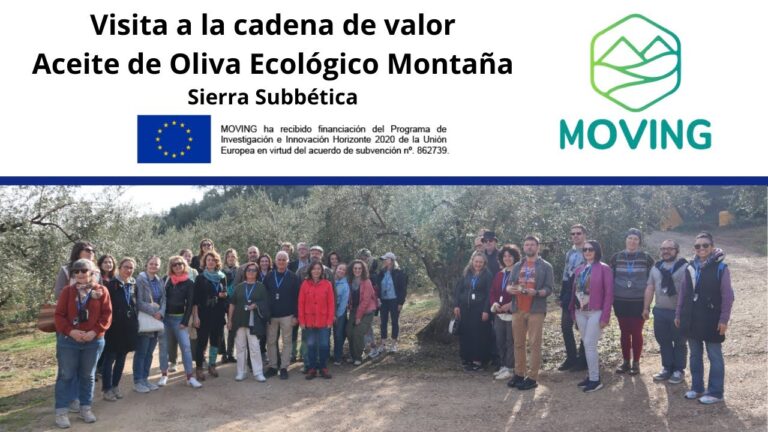 Innovación en la Cadena de Valor del Flamenco