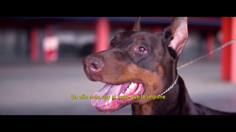 Fusi&oacute;n Flamenca: Colaboraciones Musicales Innovadoras