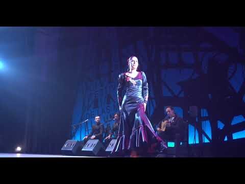 Flamenco Compartido: La Revoluci&oacute;n en Redes Sociales