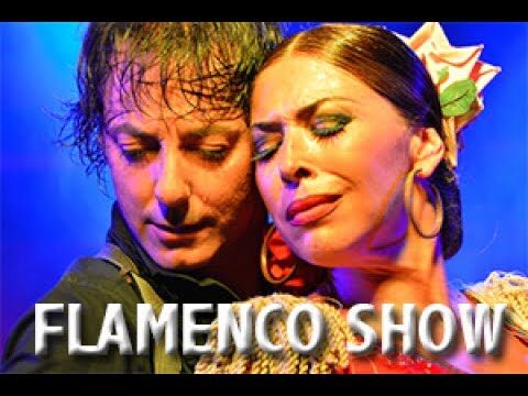 An&aacute;lisis de la Representaci&oacute;n del Flamenco en la Televisi&oacute;n