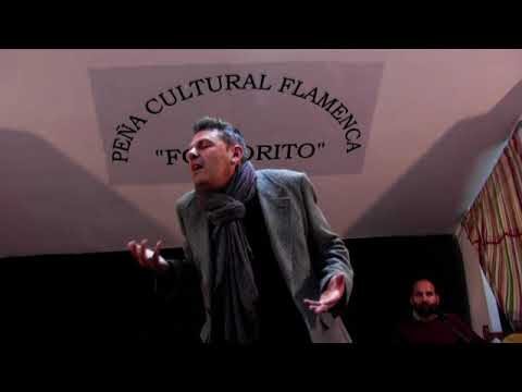 Cante Jondo: Su Influencia en la Pol&iacute;tica