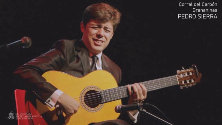 Maestría en Técnicas de Guitarra Flamenca: Estilo Taranta