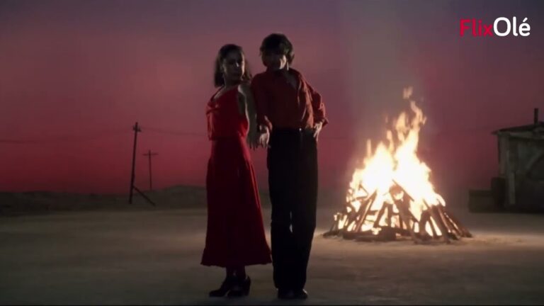 El Baile Flamenco en el Cine y la Televisi&oacute;n