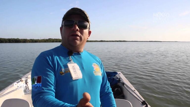 Turismo Responsable y Flamenco: Un V&iacute;nculo Cultural Sostenible