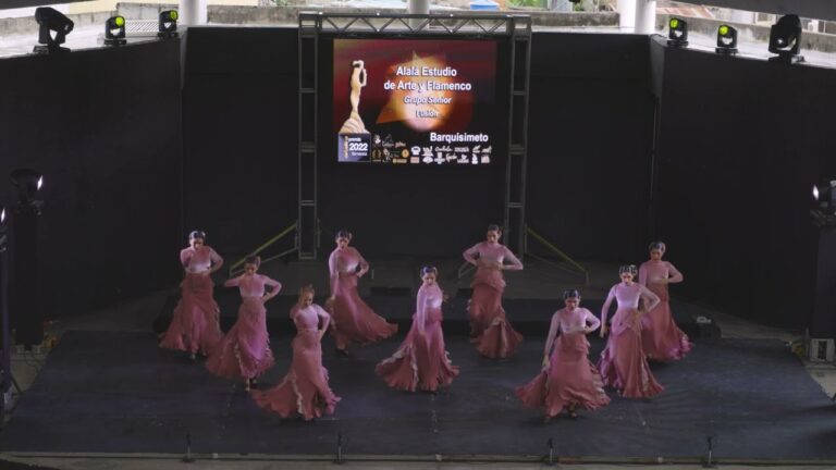 Premios al Cine: Celebrando el Baile Flamenco en la Pantalla