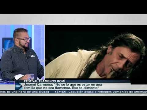 Fusi&oacute;n de Estilos en el Flamenco Migrante