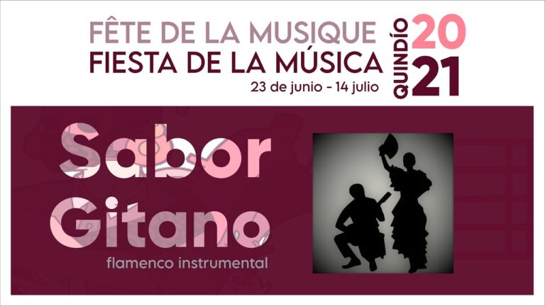 La Fascinaci&oacute;n del Flamenco en los Recitales
