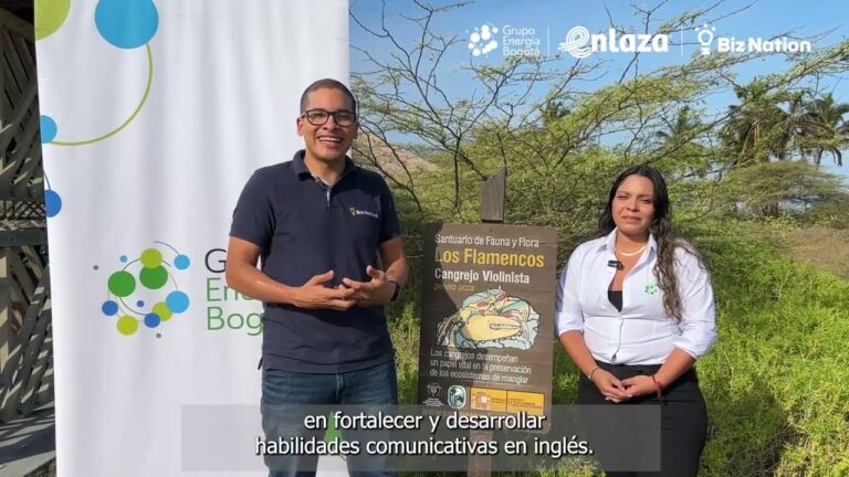 Inversi&oacute;n Estrat&eacute;gica en la Preservaci&oacute;n del Flamenco