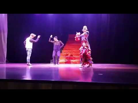 Hoteles que Viven el Flamenco con Pasi&oacute;n