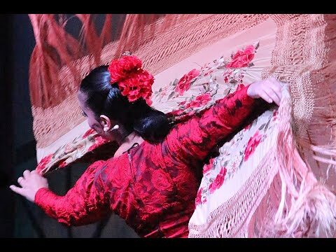 La Pasi&oacute;n Juvenil en los Concursos de Baile Flamenco