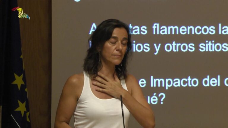 Luchas Sociales Reflejadas en el Flamenco