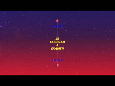 Encuentros con Artistas: El Arte del Flamenco Desvelado