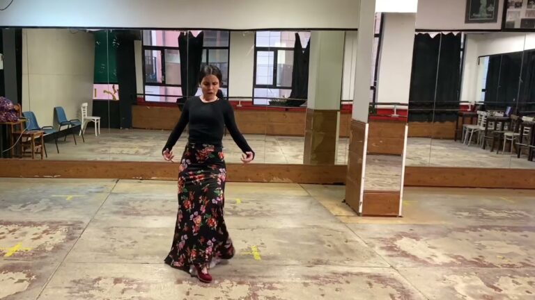 Clases de Flamenco en la Televisi&oacute;n