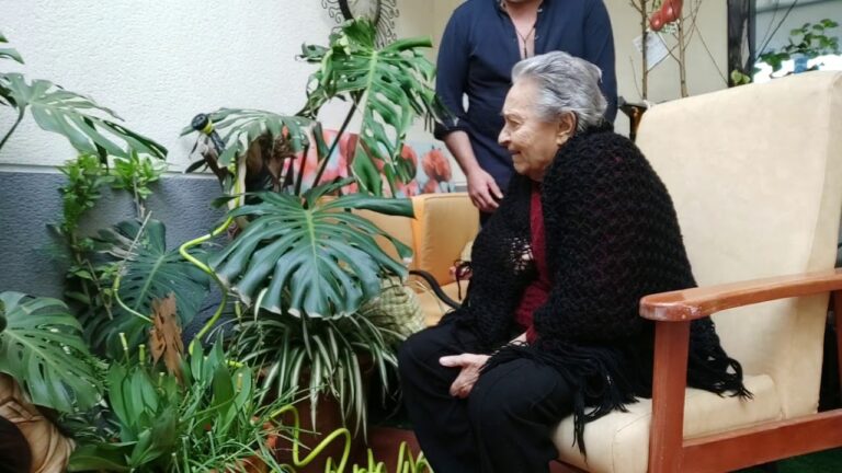 El poder transformador de la confianza en el flamenco