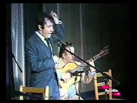 Expresiones Po&eacute;ticas en el Flamenco: Un Viaje Emocional