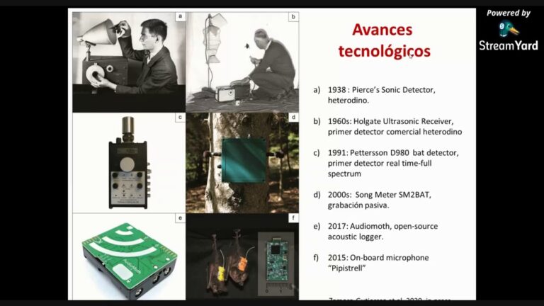 Avances Tecnol&oacute;gicos en la Grabaci&oacute;n del Flamenco