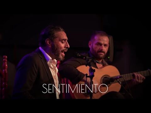 Descubre el Flamenco al Alcance de tu M&oacute;vil
