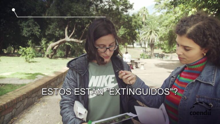 Preservaci&oacute;n de Especies: El Flamenco como Arte y Conciencia