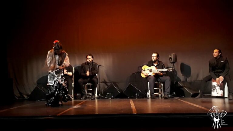 Sole&aacute; Flamenca: Elegancia y Pasi&oacute;n en el Arte Flamenco