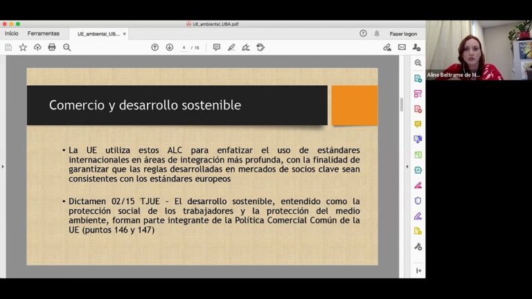 Flamenco: Puente de Integraci&oacute;n y Derechos Humanos